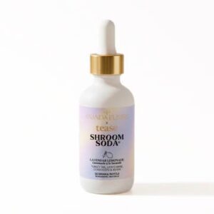 Shroom Soda | Wellness Lavender Lemonade | Healthy Soda
