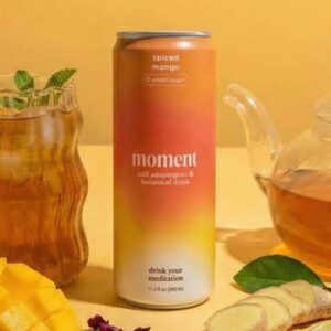 Spiced Mango (Botanical Tea | 24 Pack)