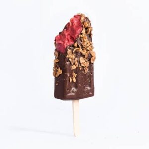 Trashberry Sorbet Bar